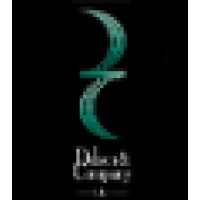 Delsen & Company LLP logo - Similar company to Rodriguez Reiffert & Co., P.C.