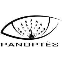 PANOPTES-HM logo - Similar company to Hard Cat Drones