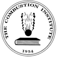 German Section of the Combustion Institute logo - Similar company to Remfra