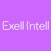 Exell Intelligence logo - Similar company to Multicultural Uk