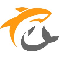 Orange Shark Media logo - Similar company to Arkivation Pte