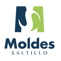 MOLDES SALTILLO SA DE CV logo - Similar company to Dcmold