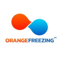 Orangefreezing Solutions B.V. logo - Similar company to Cryptomokken