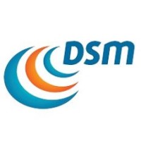 Dsm Consulting