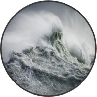 The Tempest Group logo - Similar company to Dynamic Leadership University