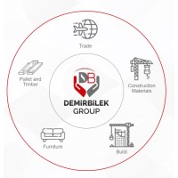 DemirbilekGroup logo - Similar company to Inovabed