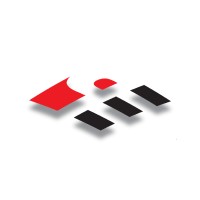 PlaSteel logo - Similar company to Imaginetics, Llc
