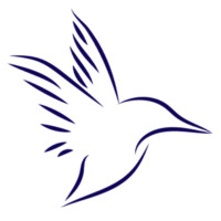Exitus NZ logo - Similar company to Bsp Advisory Group