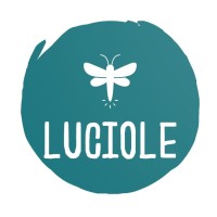 Luciole logo - Similar company to Luciol Instruments Sa