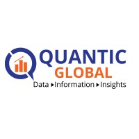 Quantic Global Services Llc