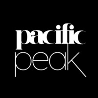 Pacific Peak Capital Partners logo - Similar company to Pacific Peak Inc