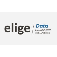 Elige Data - Inteligencia de Negocio logo - Similar company to Elige Plus Consultores De Dirección