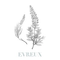 Evreux Photography logo - Similar company to Transakauto Evreux