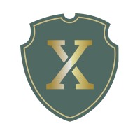 Connextion logo - Similar company to Connection Bv