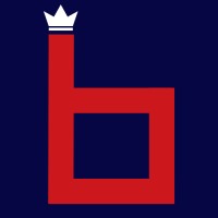 BrandR logo - Similar company to The Rays