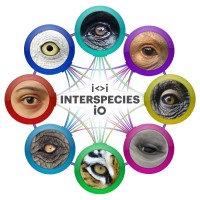 Interspecies Internet logo - Similar company to Project Ceti (Cetacean Translation Initiative)