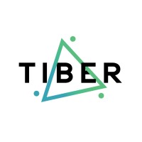 Tiber logo - Similar company to Sh Consulting