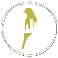 Green Canary Software logo - Similar company to Packet Pi - Websites & Programming