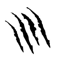 Tiger Rising Partners logo - Similar company to Flow State Business