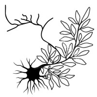 The Nerve Solution logo - Similar company to The Nutter Group, Inc.