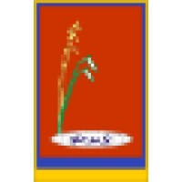 The Rice 'n Spice International Ltd logo - Similar company to Rice 5 Ltd.