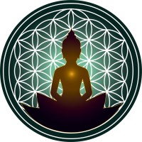 ZenVida Yoga & Fitness Studio logo - Similar company to Revivery