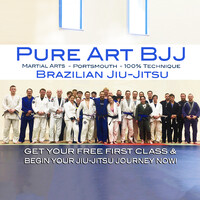Pure Art BJJ Brazilian Jiu-Jitsu / Martial Arts logo - Similar company to Vasi Fușle Academy - Judo Brazilian Jiu Jitsu