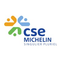 CSE Michelin logo - Similar company to Vice&Versa