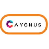 Caygnus logo - Similar company to I-Tech System