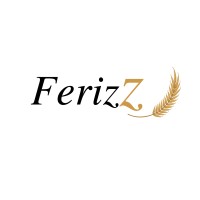 FerizZ logo - Similar company to Fctu