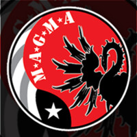 Magma Security Consultants logo - Similar company to Star Plus Security