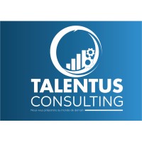 Talentus Consulting logo - Similar company to Africa By Art