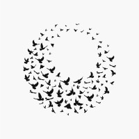 STARLING ADS logo - Similar company to Luminary Creation