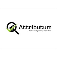Attributum Insurtech Private Limited logo - Similar company to Developer Squad