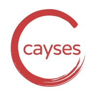 CAYSES SAS logo - Similar company to Datagas