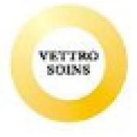 Vetrro Soins Auto Systems logo - Similar company to Prisstine Systems
