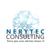 Nerytec Consulting logo - Similar company to Amployer
