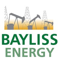 Bayliss Energy logo - Similar company to Engineering Accountabilities