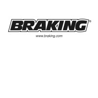 BRAKING logo - Similar company to Sunstar Engineering