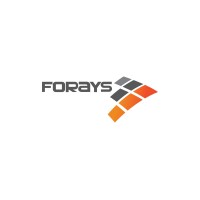 Forays International Trading LLC logo - Similar company to Techno Concept Ltd