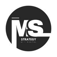 Corporate Strategies for B2B/B2C logo - Similar company to Aveo Solutions Sas