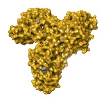 Computational Medicinal Chemistry School logo - Similar company to Omnibusx
