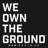 HAVIK logo - Similar company to D3A Defence