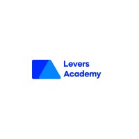Levers Academy logo - Similar company to Bryse Consulting Ltd