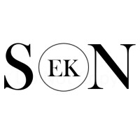 EkSon logo - Similar company to Ekson Technology
