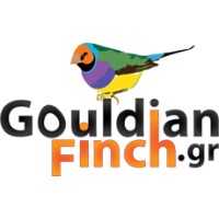Gouldianfinch.Gr