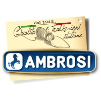 Ambrosi Spa logo - Similar company to Saviola S.P.A.