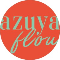 azuya flow logo - Similar company to Dreideutig