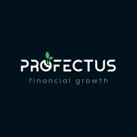 Profectus Business Consulting logo - Similar company to L90S - Cfo Services For Startups