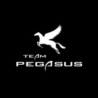 Team Pegasus Racing logo - Similar company to Neebal Gurukul